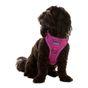 Doodlebone Trendy Tails Stomp Dog Harness Purple 2-3