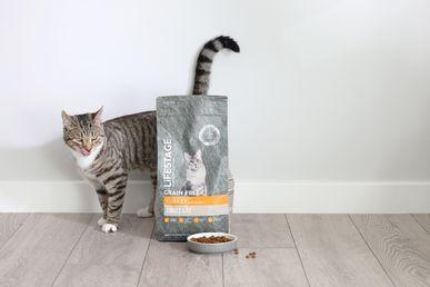 A tabby cat stands beside a large bag of grain-free turkey cat food, with a bowl of kibble in front, on a wooden floor.