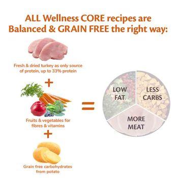 Wellness CORE Dry Dog Food Adult Low Fat Turkey Recipe 10kg