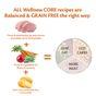 Wellness CORE Dry Dog Food Adult Low Fat Turkey Recipe 10kg
