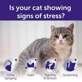 Feliway Optimum Refill 3 Pack