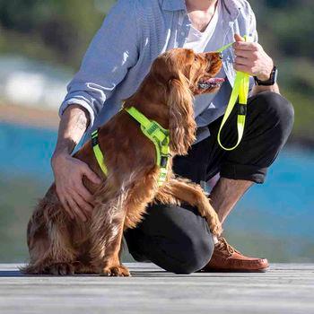 Rogz Utility Control Black Dog Harness, Medium