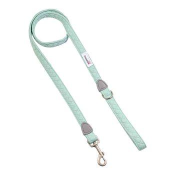 Doodlebone Dinky Dog Lead Mint 20mm