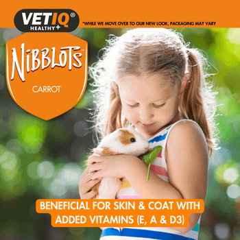 Nibblot Carrot Treats for Small Animals 30g