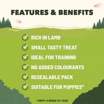 Adventuros Lamb Training Dog Treats 115g