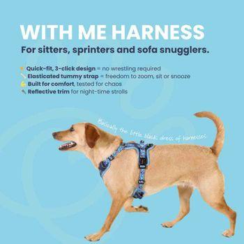 Doodlebone 'With Me' Dog Harness Blue 6-9
