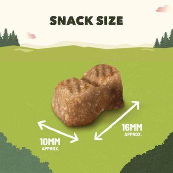 Adventuros Lamb Training Dog Treats 115g