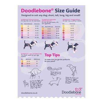 Doodlebone Trendy Tails Padded Dog Collar Blue 1-2