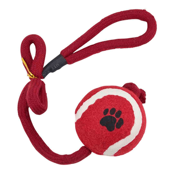R&R | Tennis Ball On Rope | Interactive pet toy