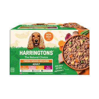 Harringtons Adult Complete Wet Dog Food – Fresh Mixed Recipes with Potato & Veg, 16x400g