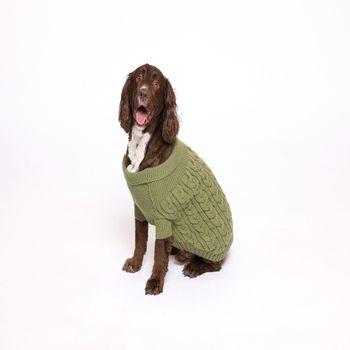 Rufus & Rosie Green Cable Knit Jumper, L
