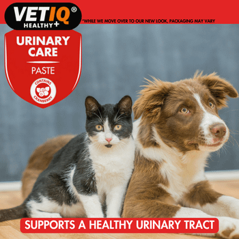 VetIQ Urinary Care paste for Cats and Dogs 100g