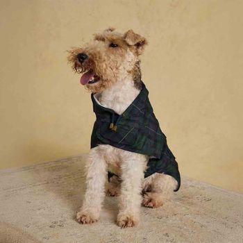 Joules Blackwatch Check Packaway Small Dog Coat