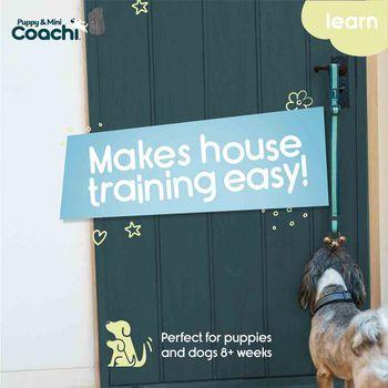 Coachi Puppy & Mini Toilet Training Bells Teal & Mint