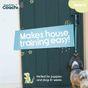 Coachi Puppy & Mini Toilet Training Bells Teal & Mint