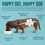 Scrumbles Gnashers for Dogs, Daily Dental Sticks 125g