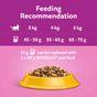 Whiskas 1+ Complete Dry with Chicken Cat Food, 3.8kg