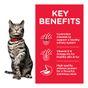 Hill's Science Plan Adult Urinary Health Dry Cat Food Chicken Flavour 1.5kg 