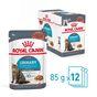 Royal Canin Urinary Care Wet Cat Food in Gravy 48x85g
