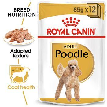 Royal Canin Wet Dog Food Wet Poodle 12x85g