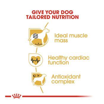 Royal Canin Dry Dog Food Boxer Adult 12kg