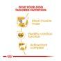 Royal Canin Dry Dog Food Boxer Adult 12kg