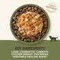 Applaws Dog Pouch Lamb Carrot Chickpeas in Gravy 85g