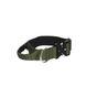 Rufus & Rosie Padded Handle Dog Collar, Medium, Khaki