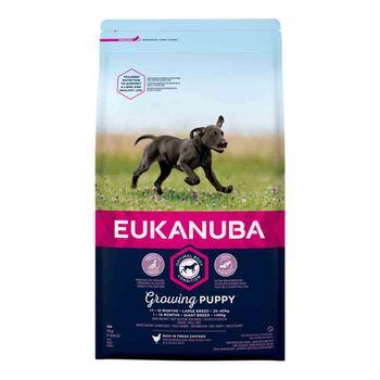 Eukanuba Large Breed Puppy Food Chicken 2kg