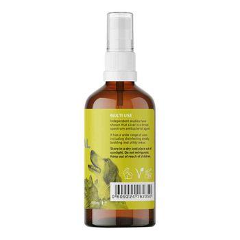 Natures Greatest Secret, Colloidal Silver Pump Spray, 100ml