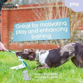 Coachi Puppy & Mini Tuggi Tug Dog Toy Teal & Mint
