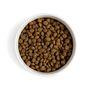 Within Adult & Senior Dry Dog Food, Chicken 2kg