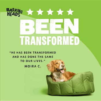 Barking Heads All Hounder Bowl Lickin Goodness Lamb Dry Dog Food, 12kg