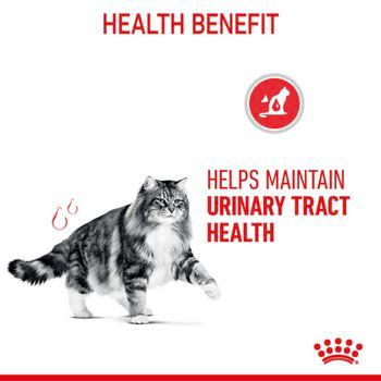 Royal Canin Urinary Care Wet Cat Food in Gravy 48x85g