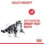 Royal Canin Urinary Care Wet Cat Food in Gravy 48x85g