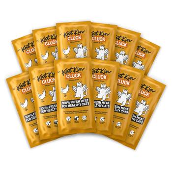 KatKin BIG CLUCK Fresh Cat and Kitten Food, Multipack (Chicken) 12x80g