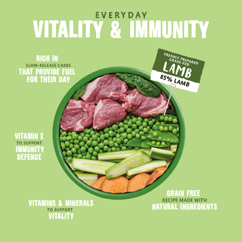 Barking Heads Chop Lickin Lamb Dog Food 300g