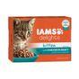 Iams Delights for Kittens with Chicken In Gravy 12x85g