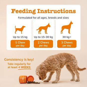 Zesty Paws Probiotic Chews for Dogs 210g