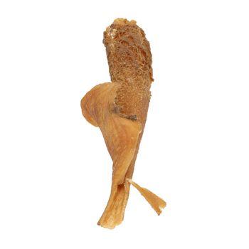 Jollyes Natural Beef Skin Dog Chew, 4 Inch