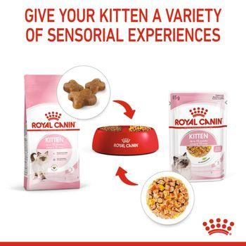 Royal Canin Kitten Pouch Multipack in Jelly 48x85g