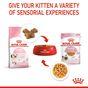 Royal Canin Kitten Pouch Multipack in Jelly 48x85g
