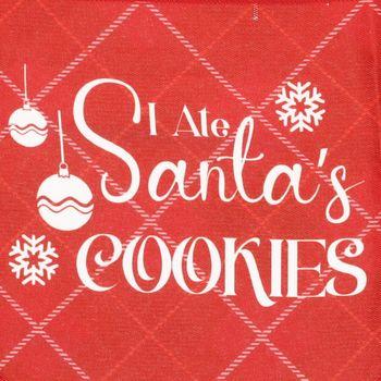 Rufus & Rosie Christmas Dog Bandana Medium - Large