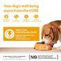 Wellness CORE Wet Dog Food 95% Duo Protein Chicken with Duck with Carrots Recipe 400g