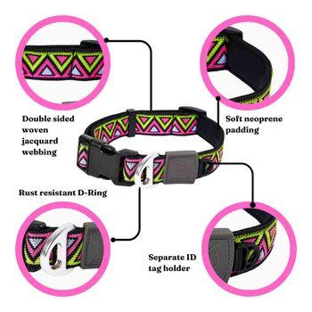 Neerdog Go-Cee-Lantana-Collar Medium