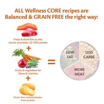 Wellness CORE Dry Dog Food Adult Ocean Salmon with Tuna Recipe 10kg