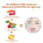 Wellness CORE Dry Dog Food Adult Ocean Salmon with Tuna Recipe 10kg