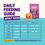 Edagrd & Cooper Adult Wet Food Cup Multipack Chicken Game Lamb 6x100g