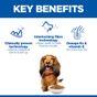 Hill'S Science Plan Adult Oral Care Medium Dry Dog Food Chicken 2kg