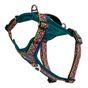 Neerdog Go-B-Bold Airflow Dog Harness-Lantana Medium 